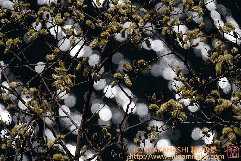 ../Images/7R250412 (14).jpg